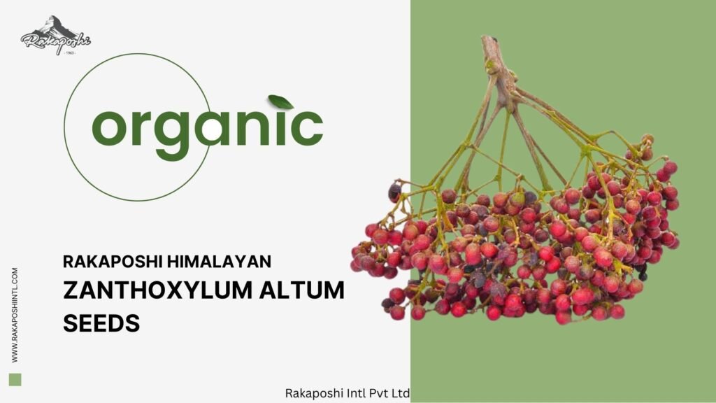 zanthoxylum armatum zanthoxylum armatum